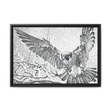Peregrine Falcon in Flight, Tuktut Nogait National Park