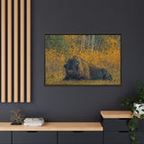 Resting Bison in Autumn, Wood Buffalo National Park