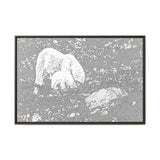 Polar Bear and Cub on the Shore, Torngat Mountains