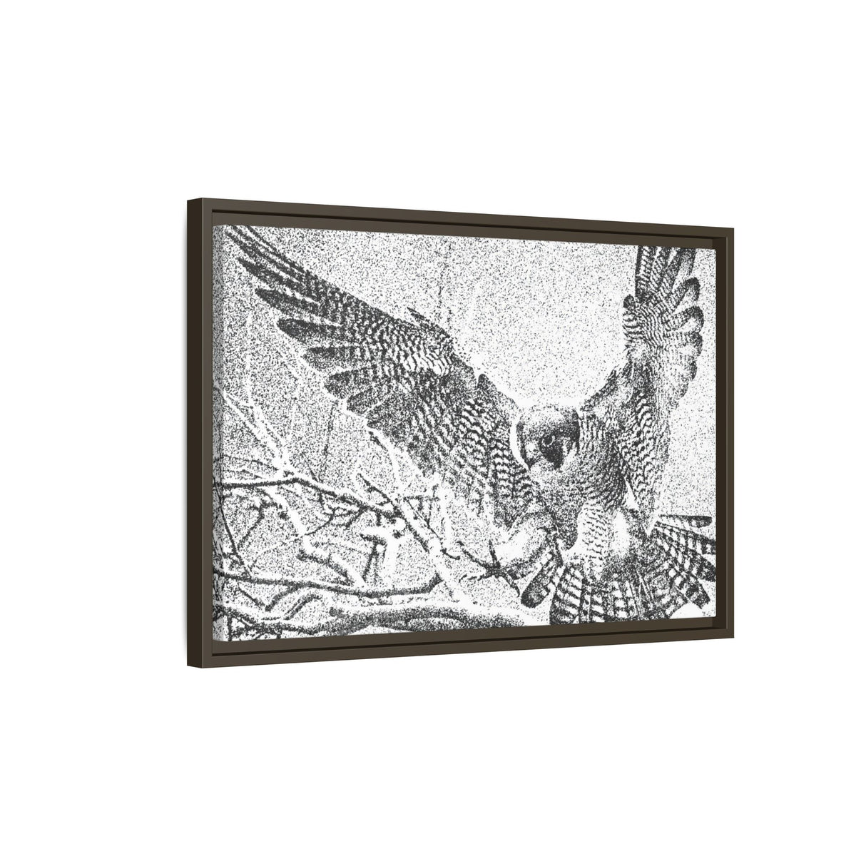Peregrine Falcon in Flight, Tuktut Nogait National Park