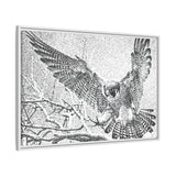 Peregrine Falcon in Flight, Tuktut Nogait National Park