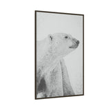 Polar Bear Portrait, Ukkusiksalik National Park