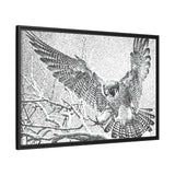 Peregrine Falcon in Flight, Tuktut Nogait National Park