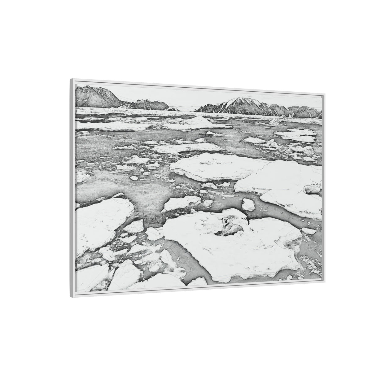 Polar Bear on Sea Ice, Northeast Greenland National Park