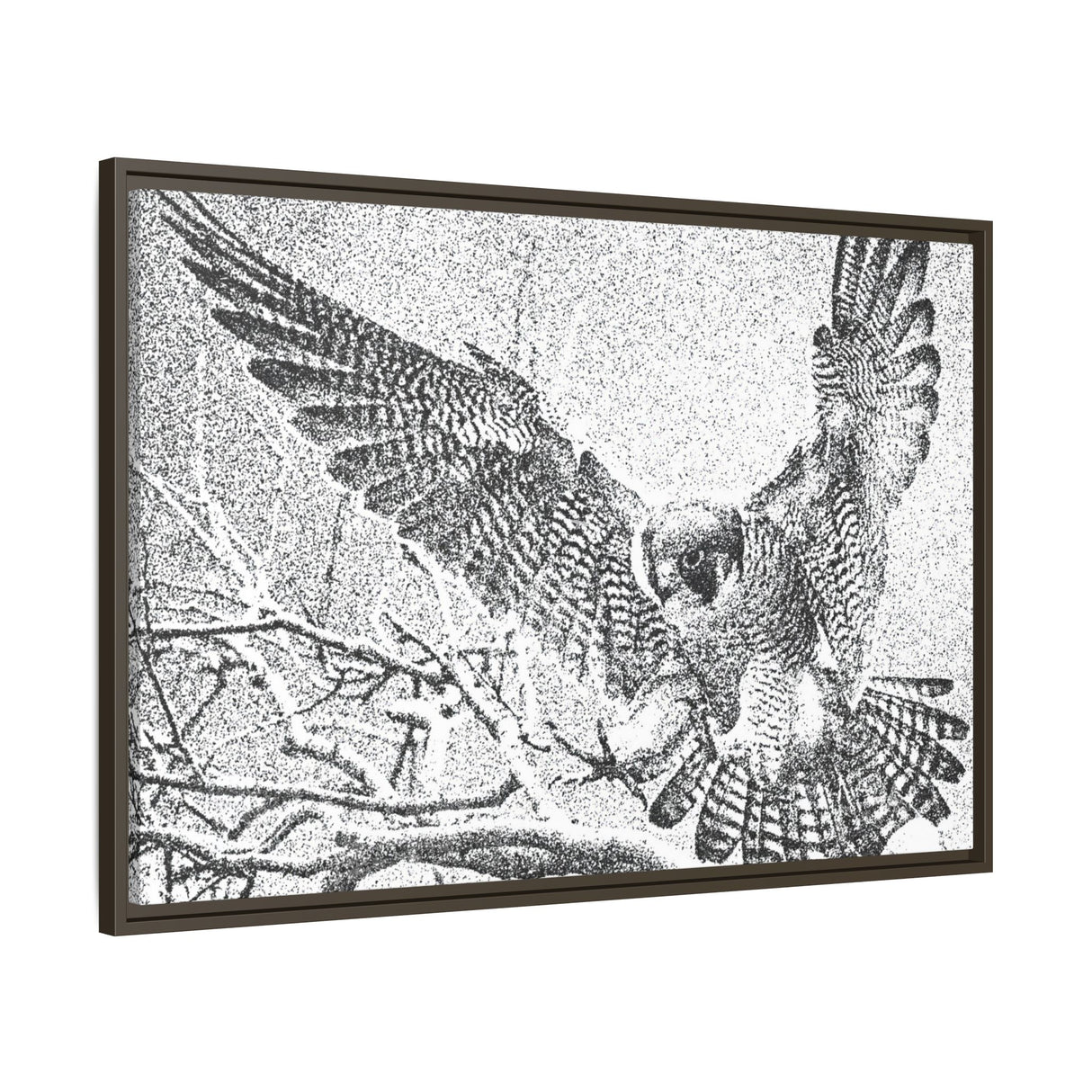 Peregrine Falcon in Flight, Tuktut Nogait National Park