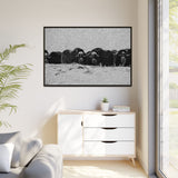 Musk Oxen in Winter