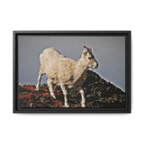 Dall’s Sheep on Rocky Ridge, Nááts'įhch'oh National Park