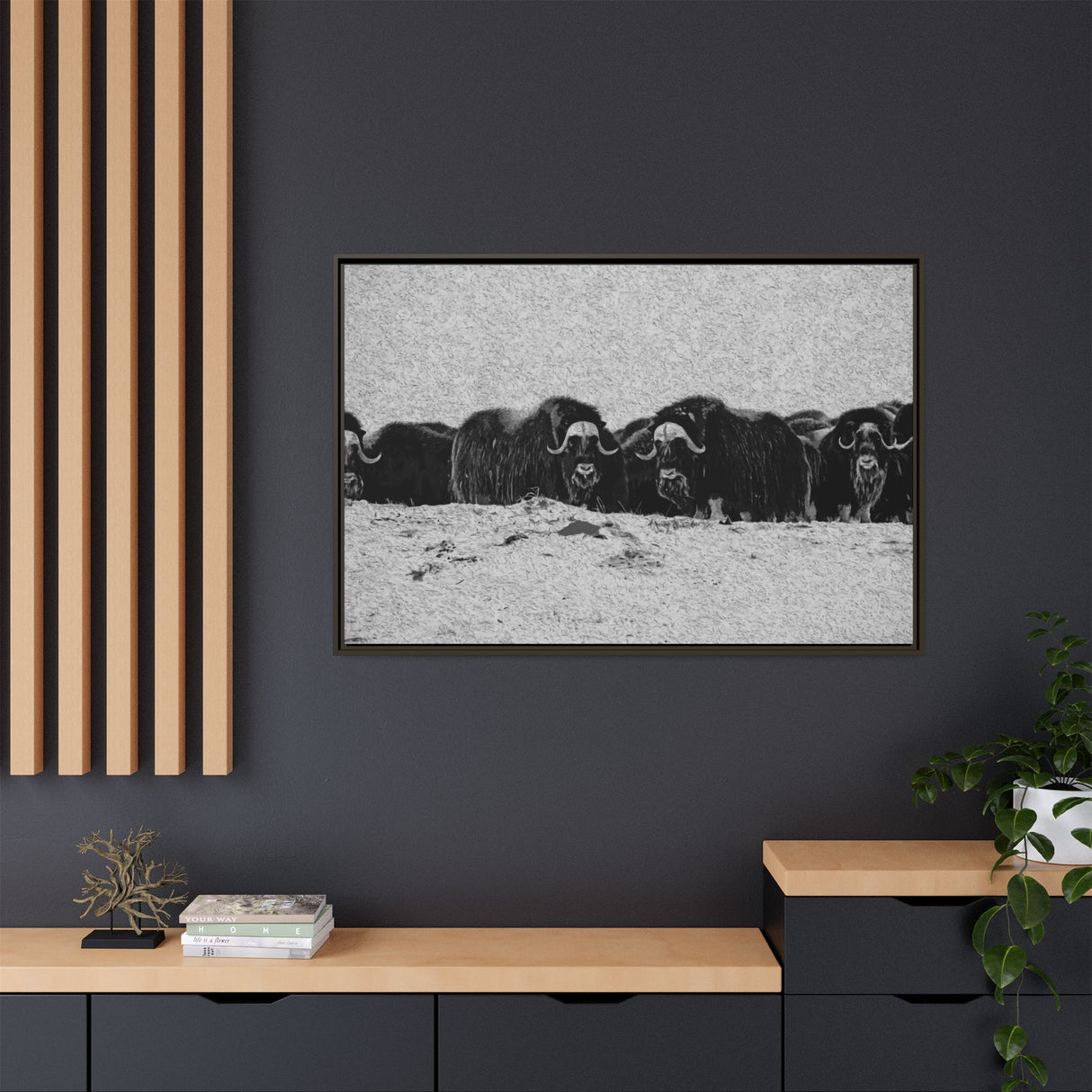 Musk Oxen in Winter