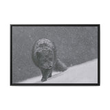 Arctic Fox in Snowfall, Quttinirpaaq National Park