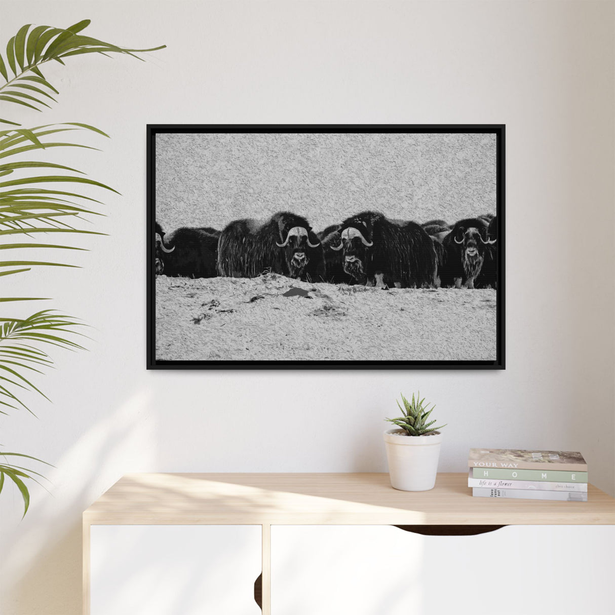 Musk Oxen in Winter