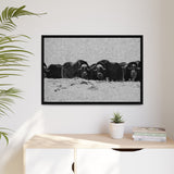 Musk Oxen in Winter