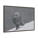 Arctic Fox in Snowfall, Quttinirpaaq National Park