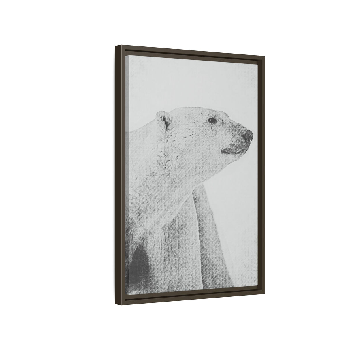 Polar Bear Portrait, Ukkusiksalik National Park