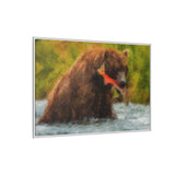 Brown Bear Fishing for Salmon, Katmai National Park