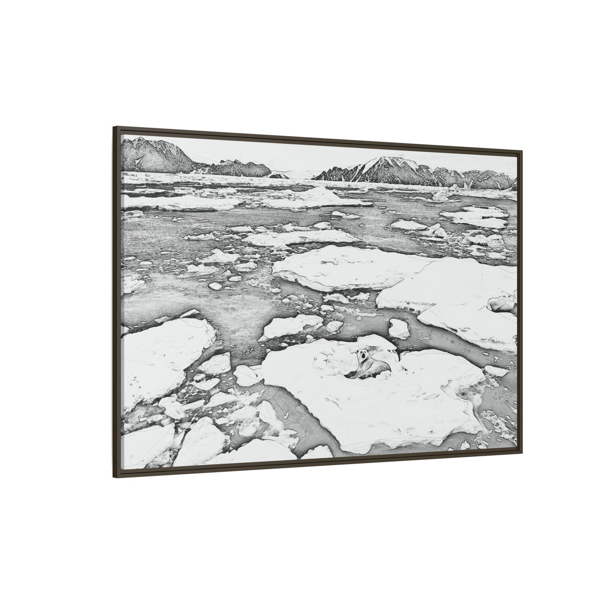 Polar Bear on Sea Ice, Northeast Greenland National Park