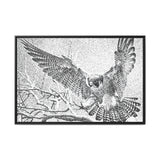 Peregrine Falcon in Flight, Tuktut Nogait National Park