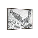 Peregrine Falcon in Flight, Tuktut Nogait National Park