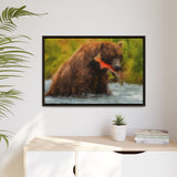 Brown Bear Fishing for Salmon, Katmai National Park