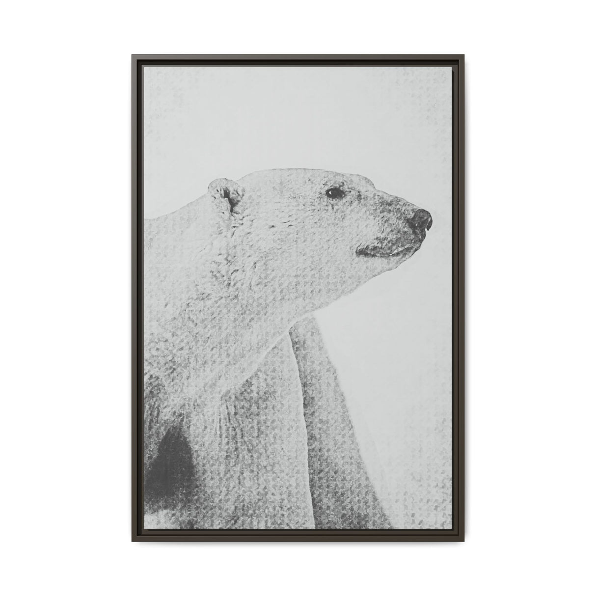 Polar Bear Portrait, Ukkusiksalik National Park