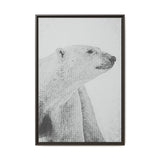 Polar Bear Portrait, Ukkusiksalik National Park