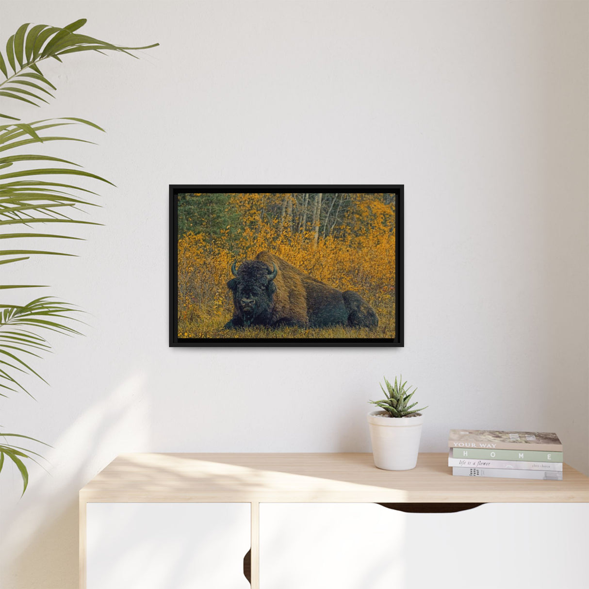 Resting Bison in Autumn, Wood Buffalo National Park