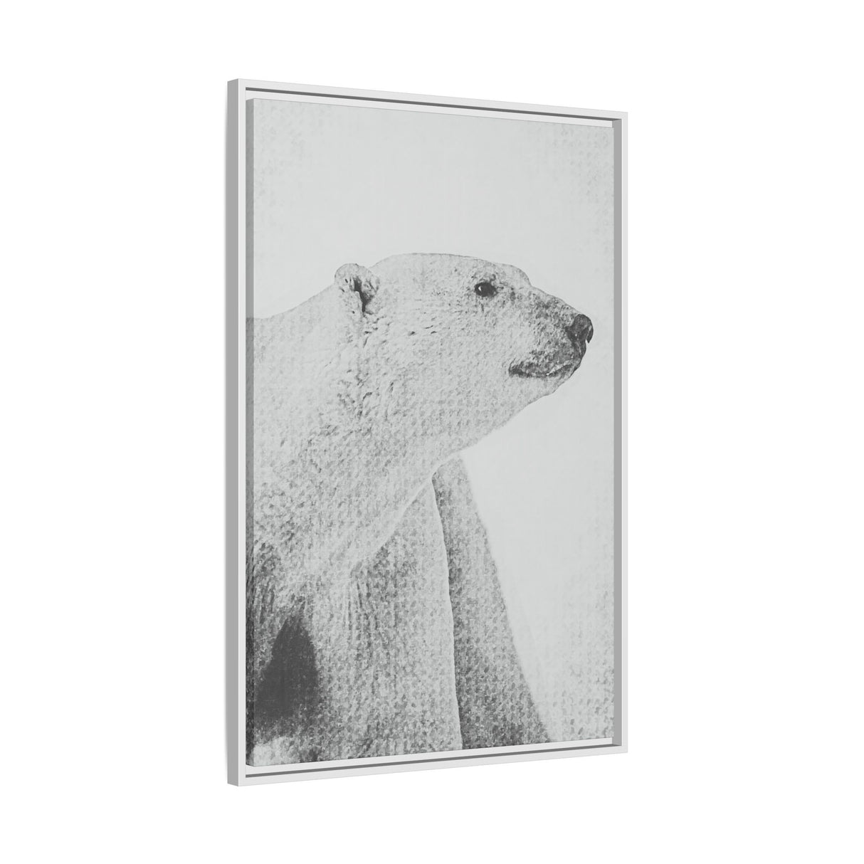 Polar Bear Portrait, Ukkusiksalik National Park
