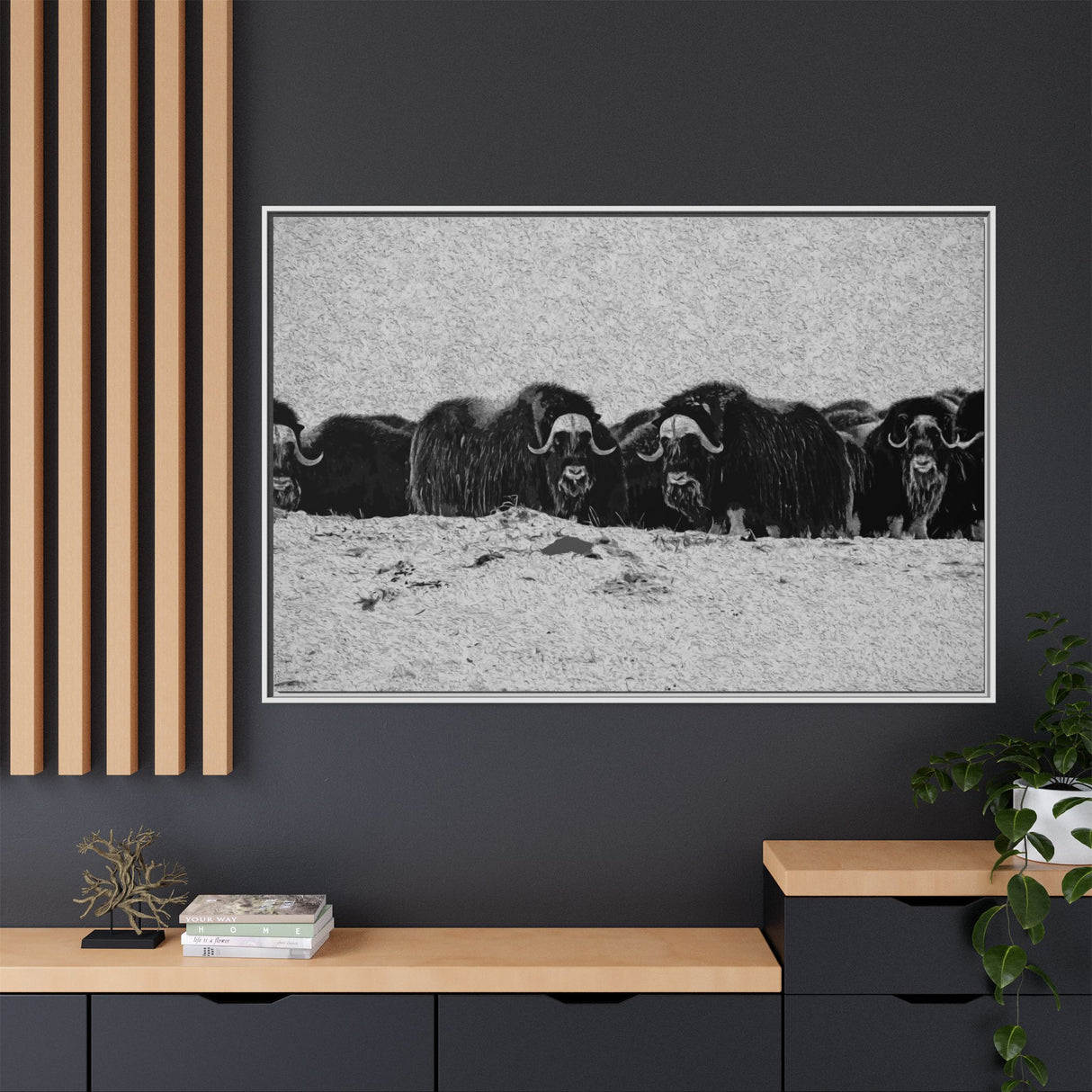 Musk Oxen in Winter