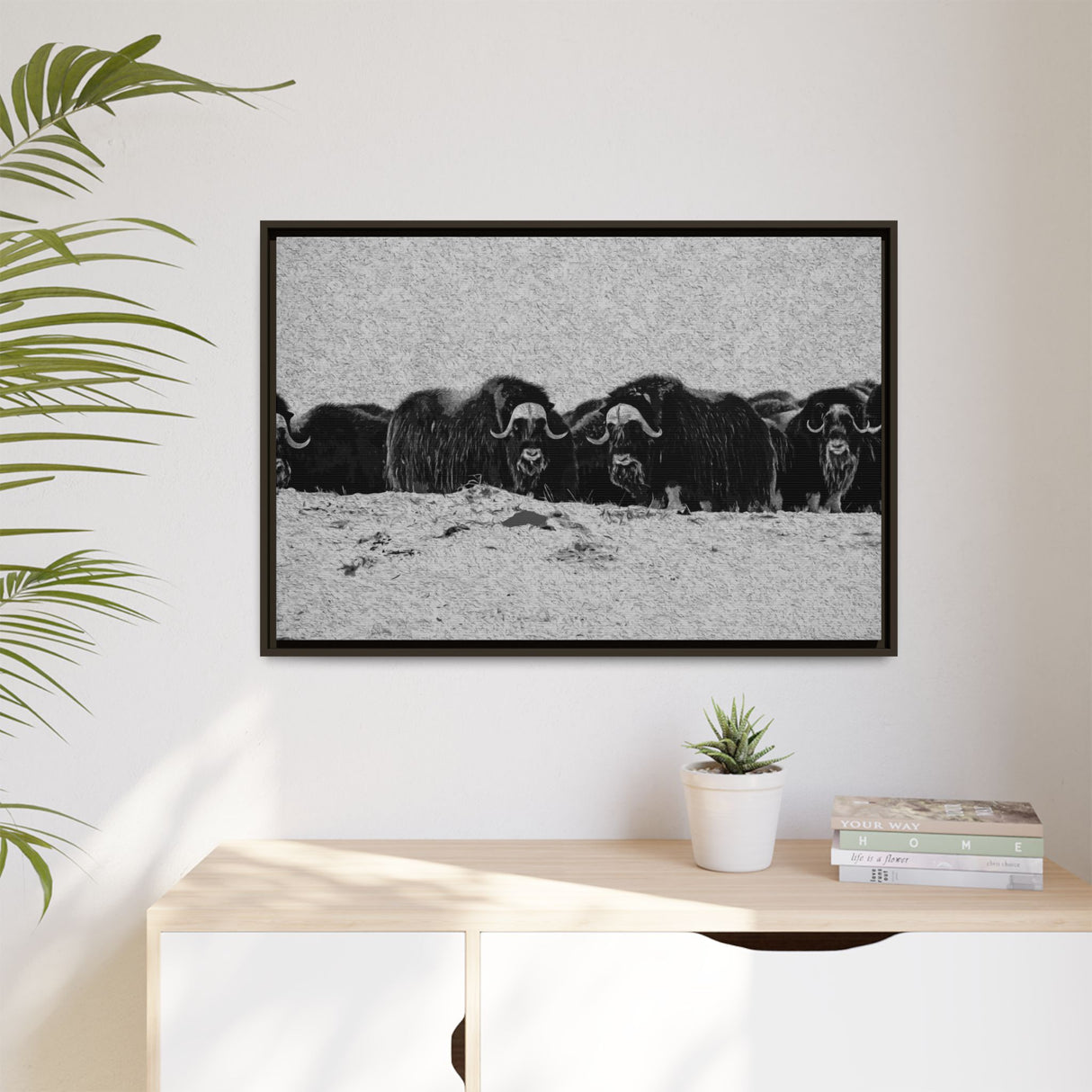 Musk Oxen in Winter