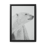 Polar Bear Portrait, Ukkusiksalik National Park