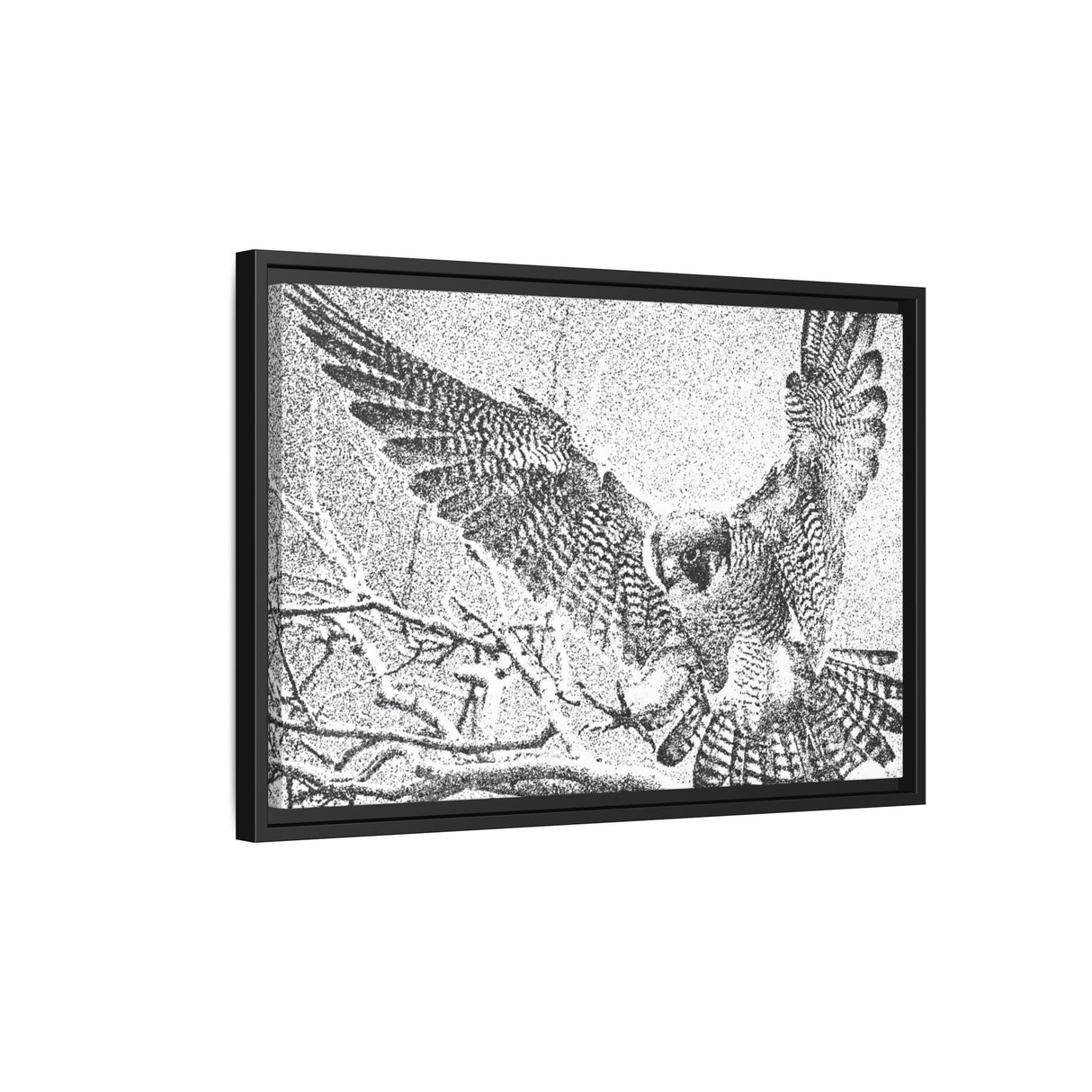 Peregrine Falcon in Flight, Tuktut Nogait National Park