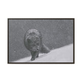 Arctic Fox in Snowfall, Quttinirpaaq National Park