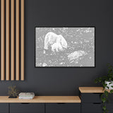 Polar Bear and Cub on the Shore, Torngat Mountains