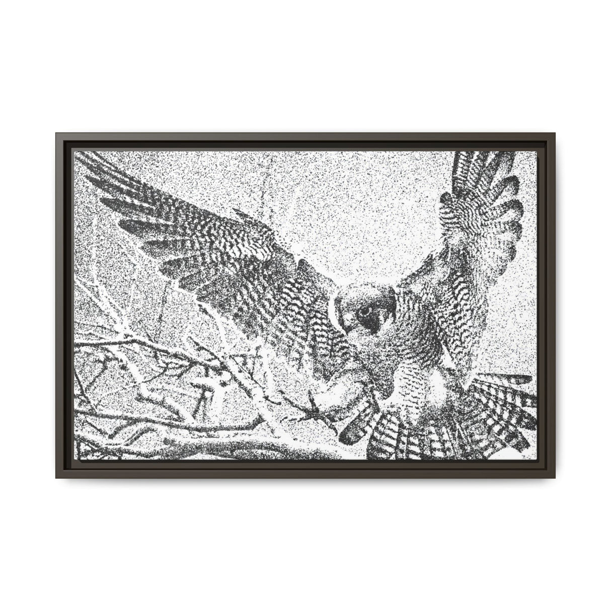 Peregrine Falcon in Flight, Tuktut Nogait National Park