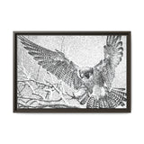 Peregrine Falcon in Flight, Tuktut Nogait National Park
