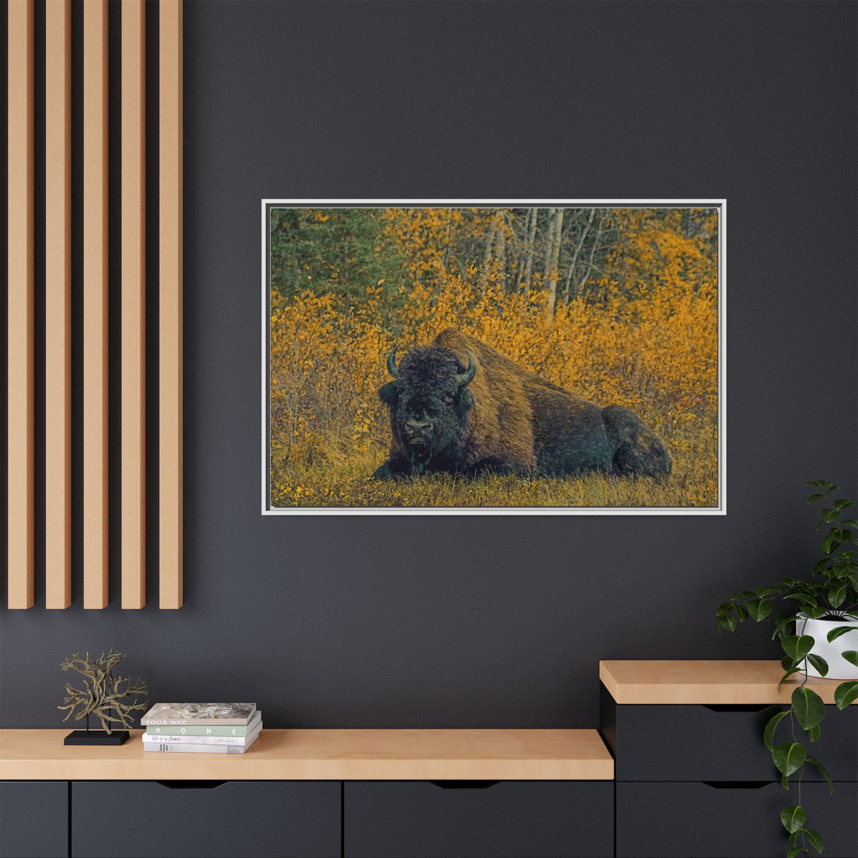 Resting Bison in Autumn, Wood Buffalo National Park