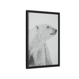 Polar Bear Portrait, Ukkusiksalik National Park
