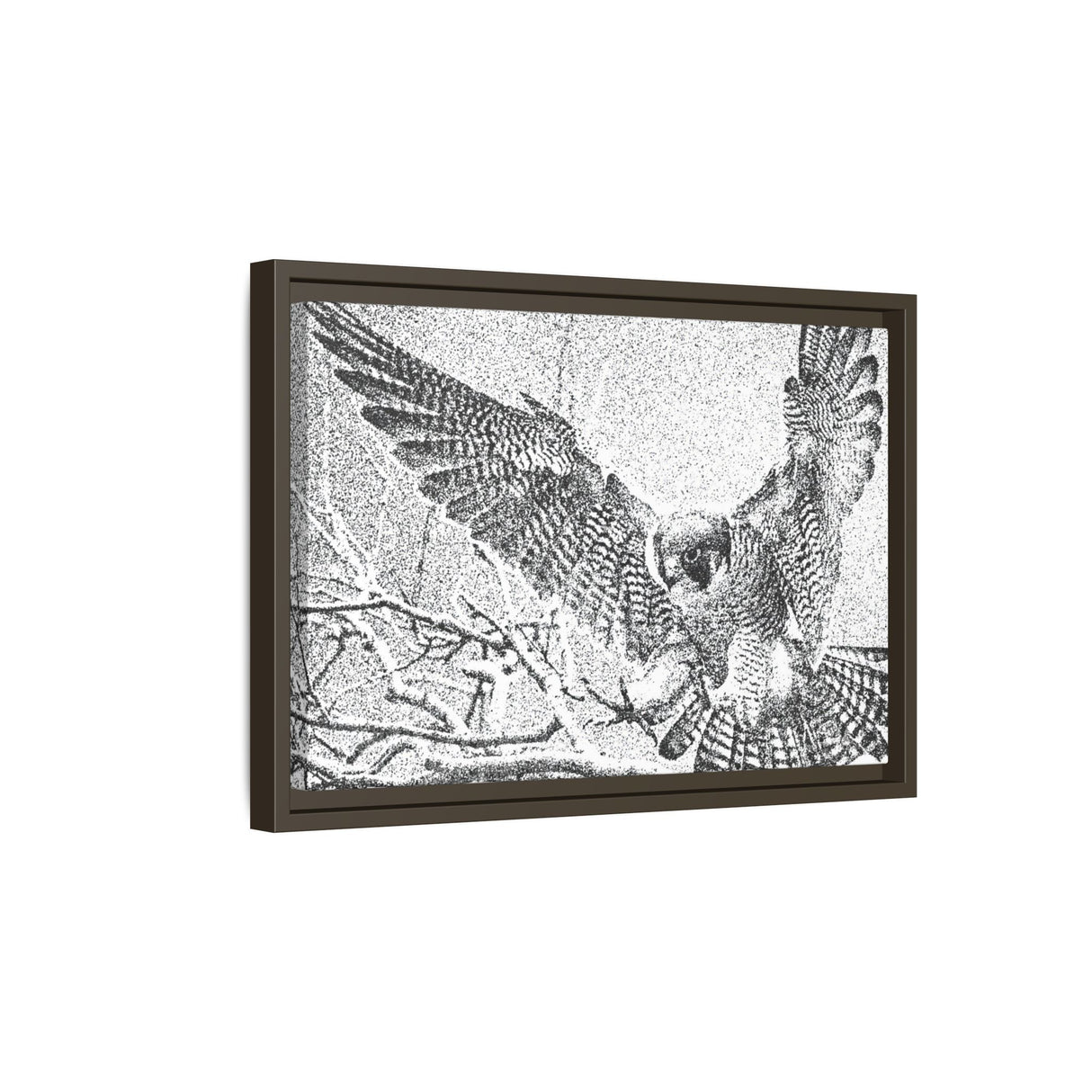 Peregrine Falcon in Flight, Tuktut Nogait National Park