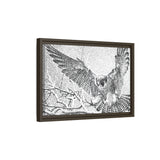 Peregrine Falcon in Flight, Tuktut Nogait National Park