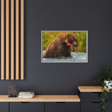 Brown Bear Fishing for Salmon, Katmai National Park