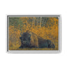 Resting Bison in Autumn, Wood Buffalo National Park