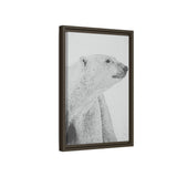 Polar Bear Portrait, Ukkusiksalik National Park