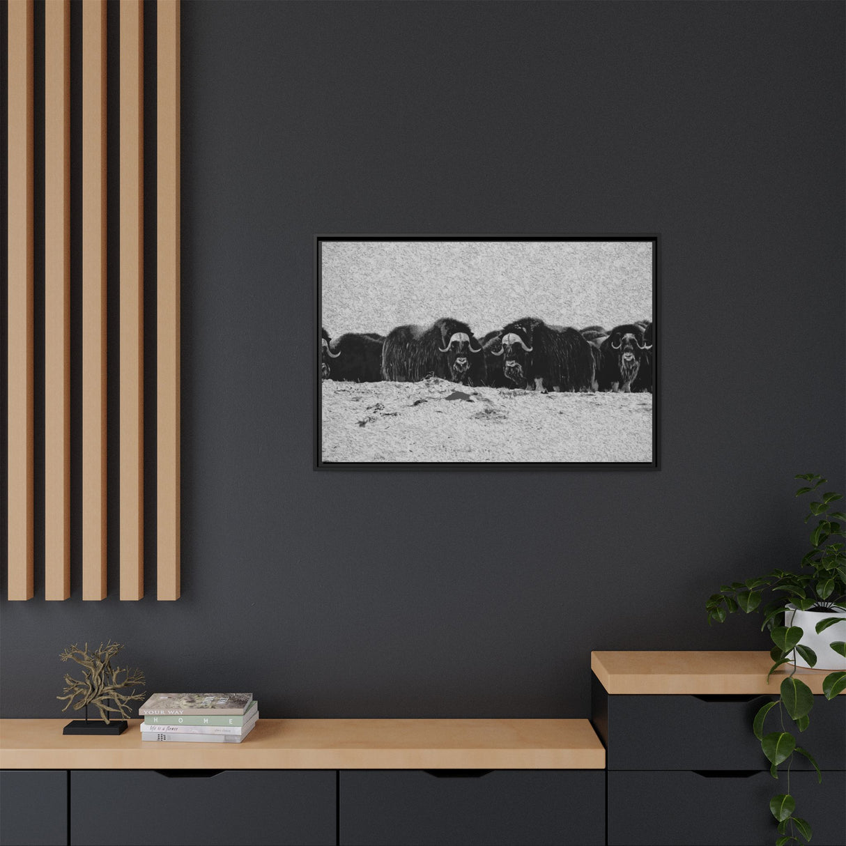 Musk Oxen in Winter