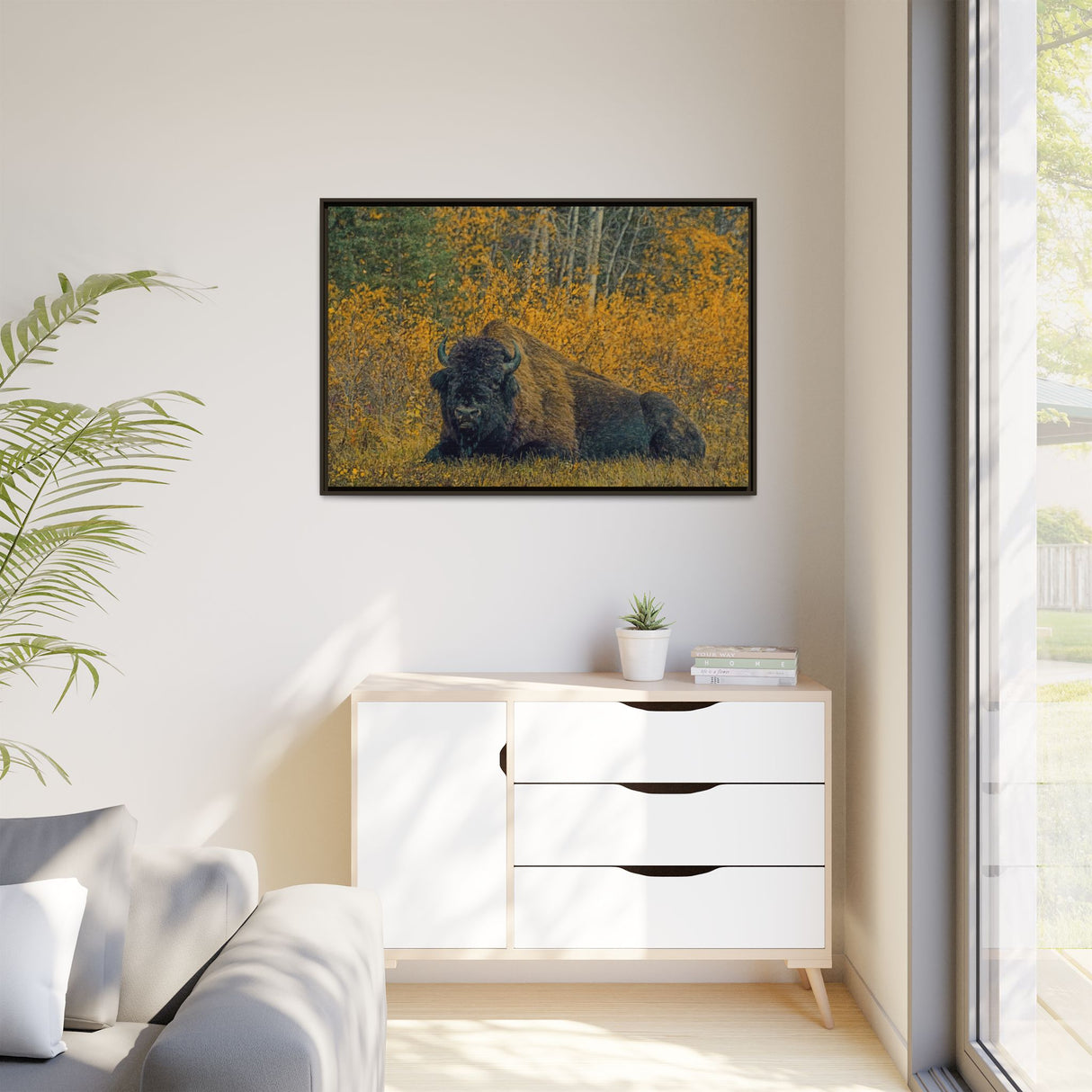 Resting Bison in Autumn, Wood Buffalo National Park