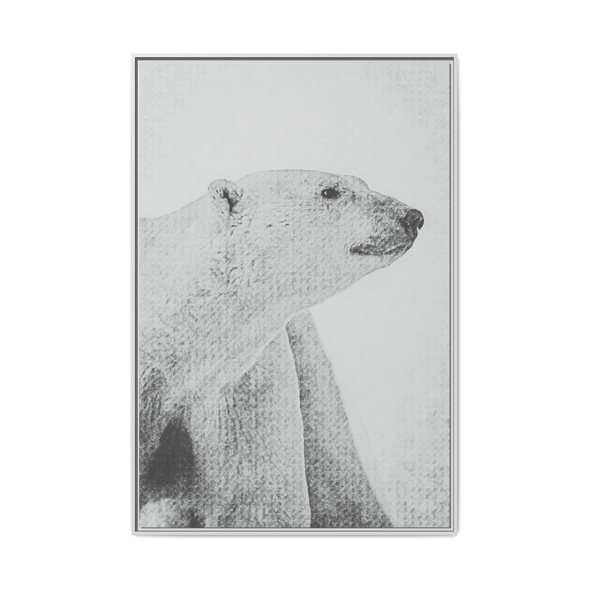 Polar Bear Portrait, Ukkusiksalik National Park