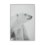 Polar Bear Portrait, Ukkusiksalik National Park