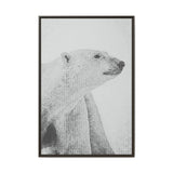 Polar Bear Portrait, Ukkusiksalik National Park