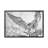 Peregrine Falcon in Flight, Tuktut Nogait National Park
