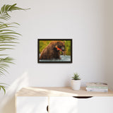 Brown Bear Fishing for Salmon, Katmai National Park