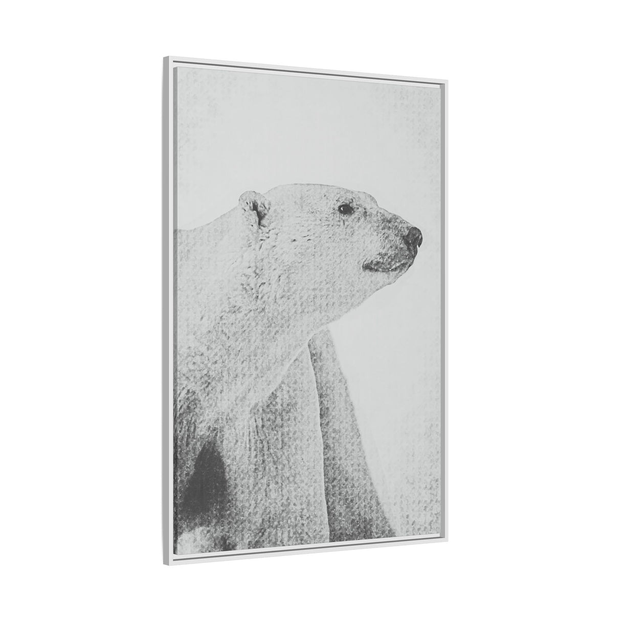 Polar Bear Portrait, Ukkusiksalik National Park