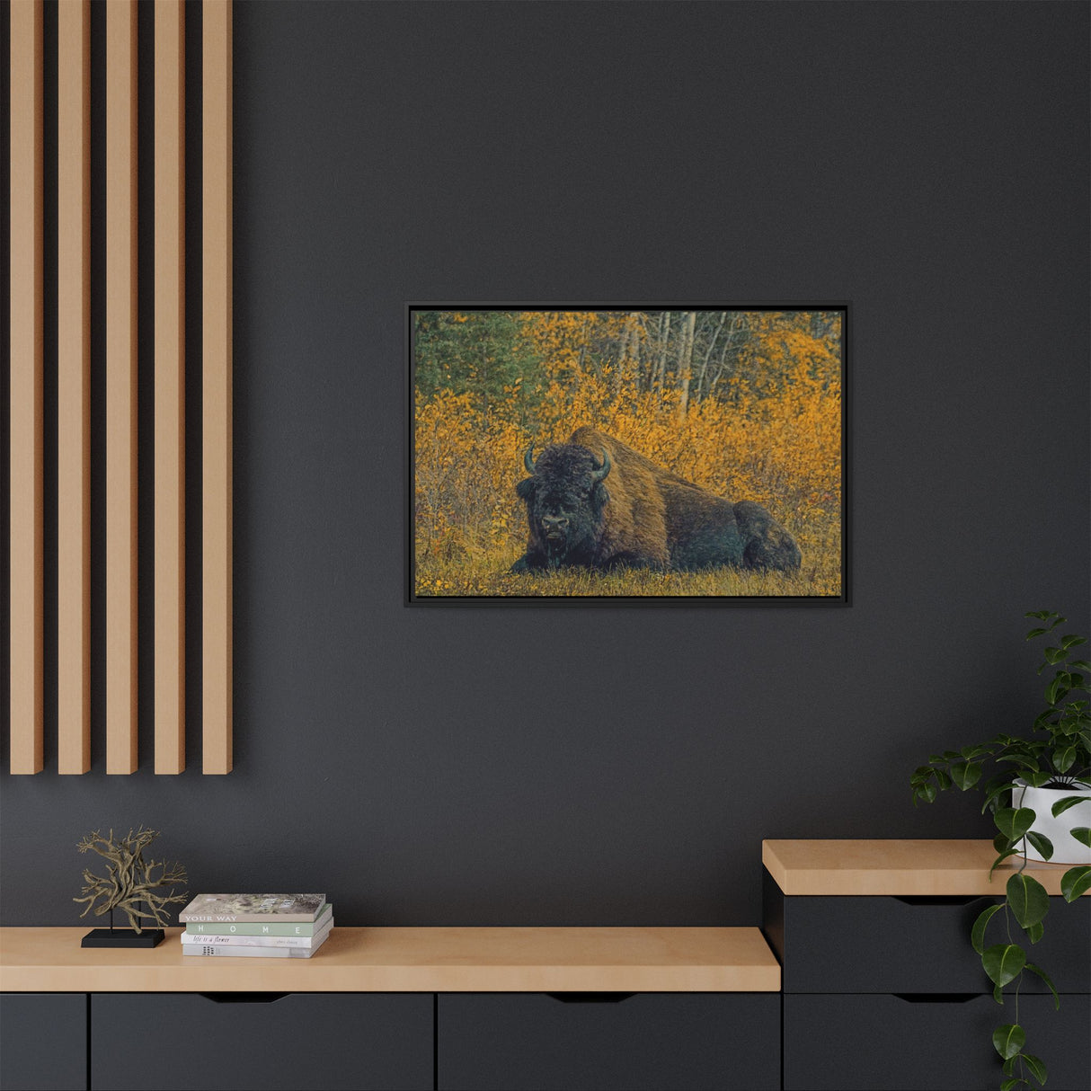 Resting Bison in Autumn, Wood Buffalo National Park